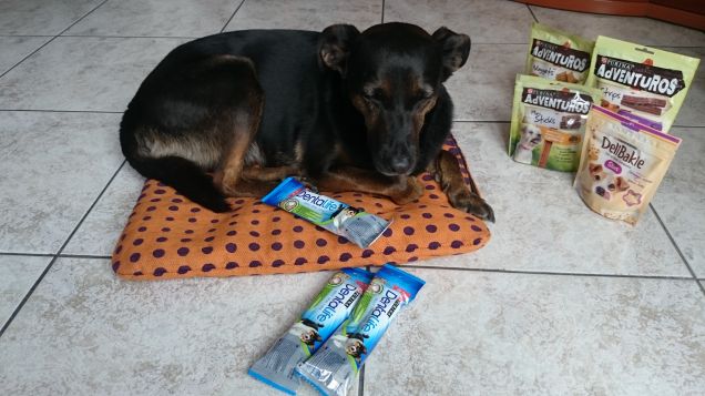 Non sto sognando vero?