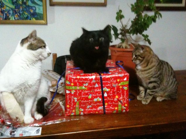 Natale, foto di famiglia