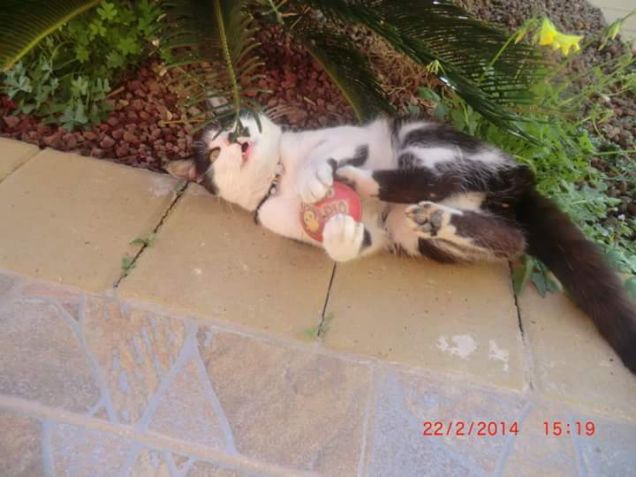 Alle prese con la palla