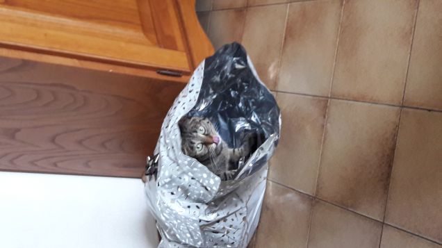 Il regalo perfetto!!!