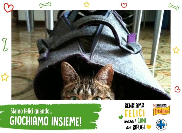 Felicità è...giocare insieme!!!!