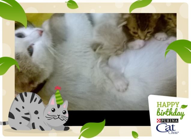 Un compleanno speciale