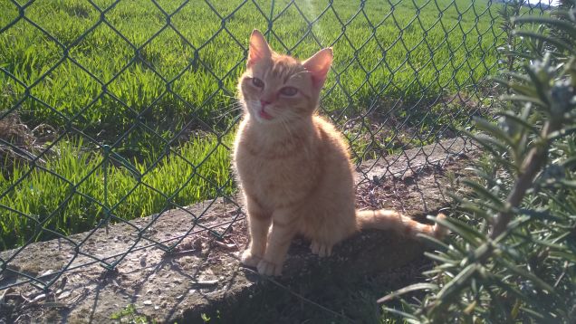 Eeeeeeeeeeeeeeeeeetch