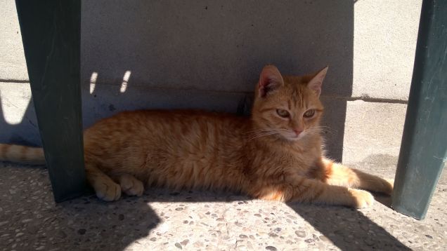 Mi schiaccio un sonnellino