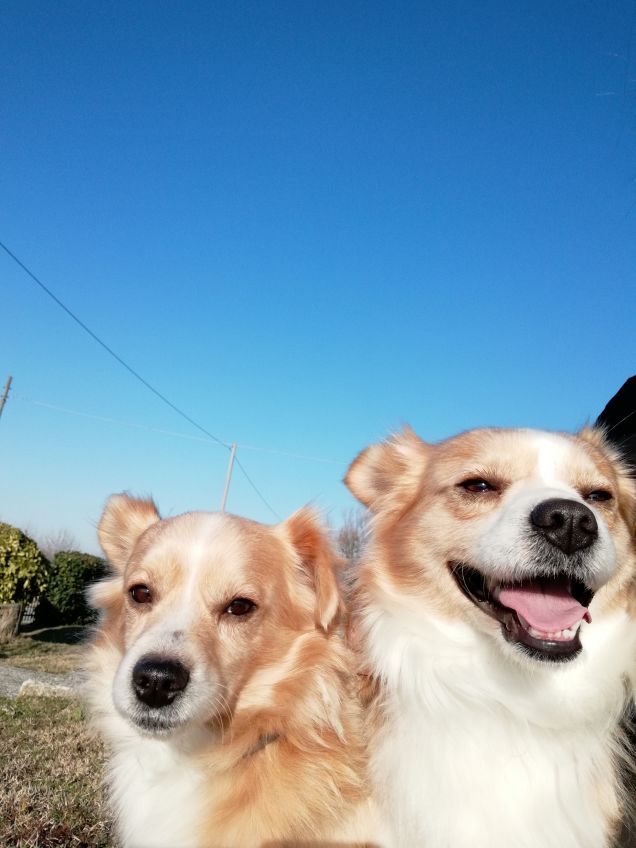 Un sorriso per la stampa :D