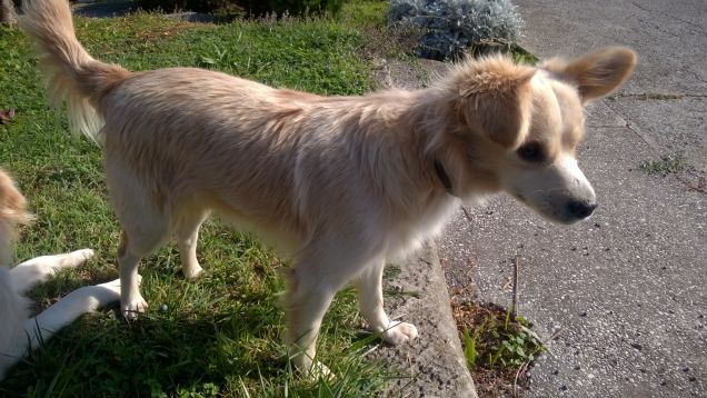 Cocco che scruta l'infinito