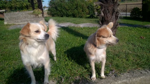 Guardate tutti a deeeestra!