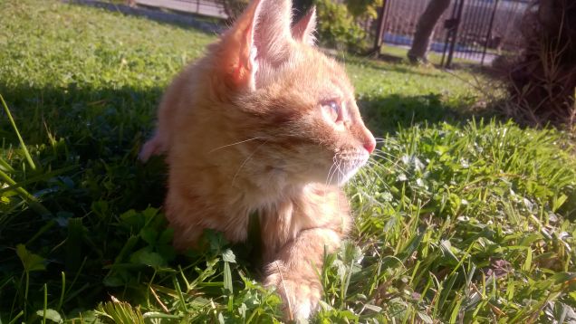 il sole bacia i belli :3