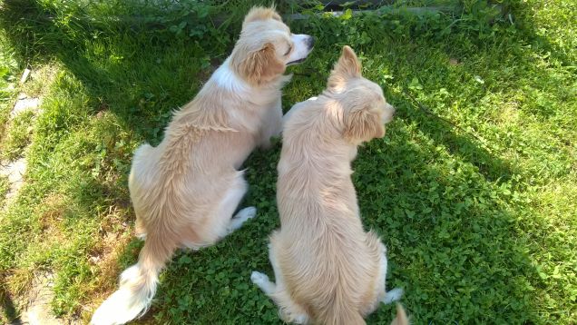 I miei sederoni preferiti :P