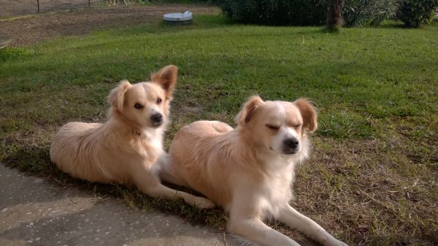 Noi da qui controlliamo tutto! 