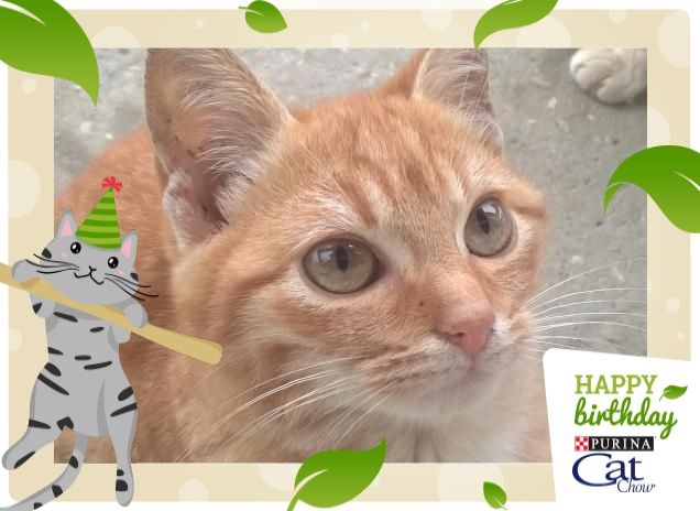 Sono Birba e mi metto in posa