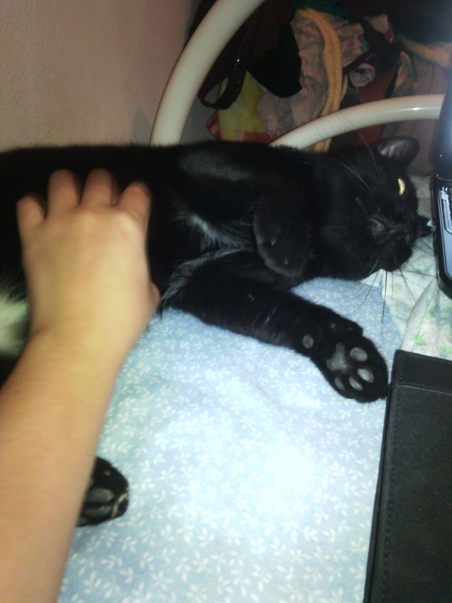 Nanna sempre insieme!