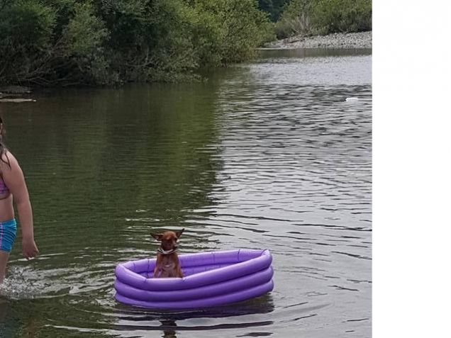Paky l'avventuroso si spinge impavido su un canotto in mezzo al mare