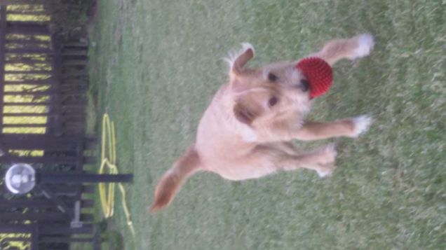 Le palline? Tutte mie 