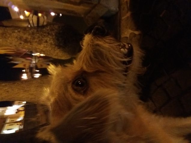 In vacanza a Cesenatico 