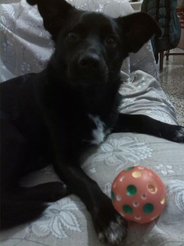 Nanà e la sua pallina