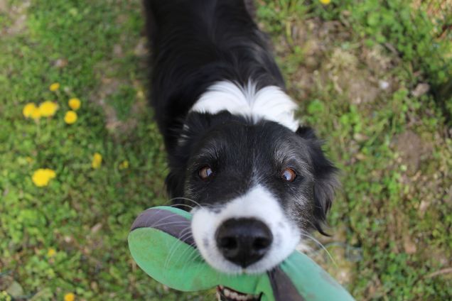 Vecchia ma non vecchissima...