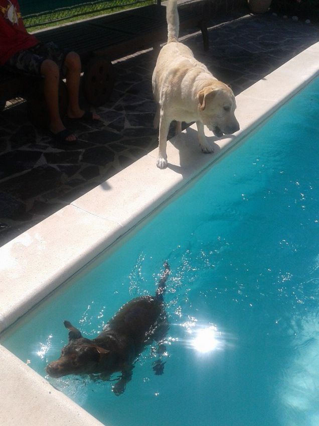 stella che fa il bagno con una amichetta 