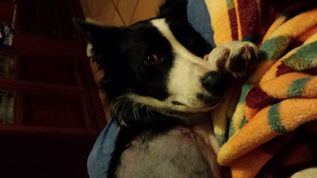 La sera dopo l'operazione...