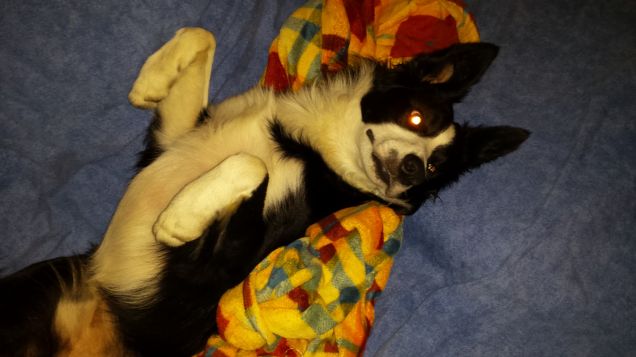 La mia posizione preferita :)