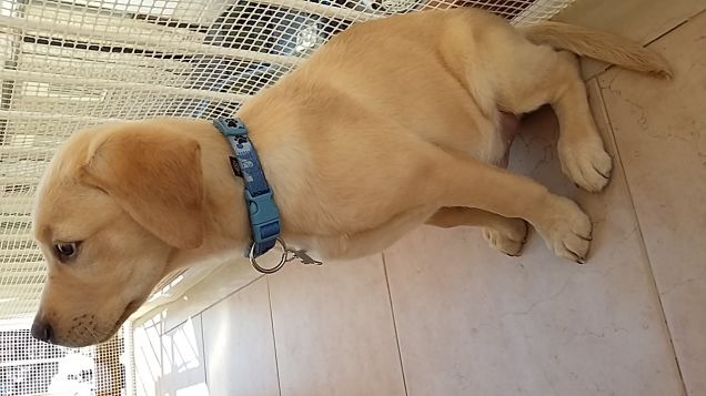 Dopo il mio primo bagnetto 