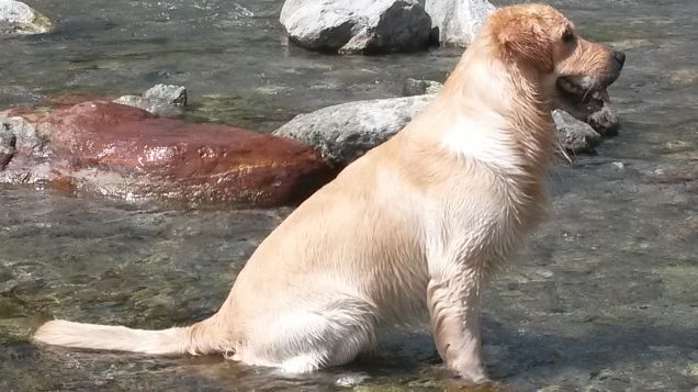 come bello stare al fresco