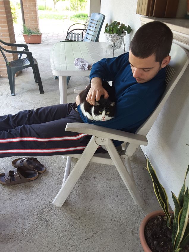 Gatta senza denti rimane con la linguetta di fuori