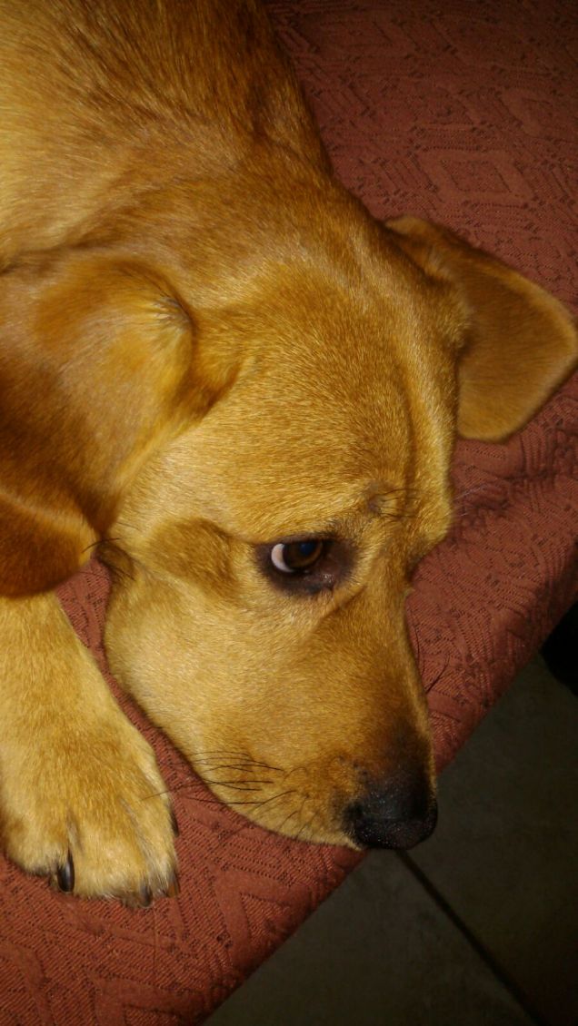 sono pieno di pensieri