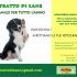 ritratto di cane un amico per tutto l'anno