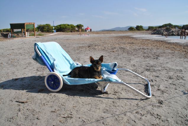 una bella giornata al mare