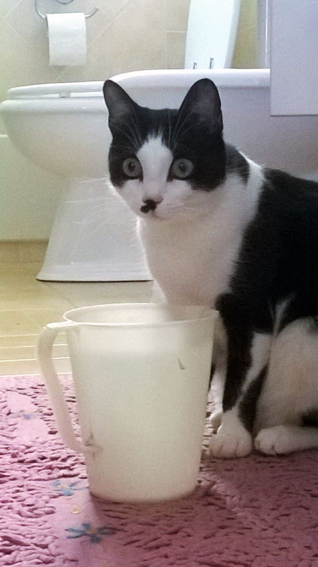 casper e la sua brocca