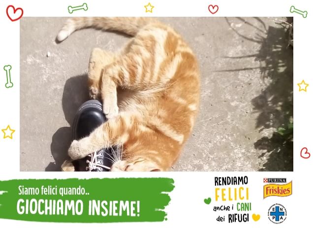 Diversi modi di dimostrare la felicità