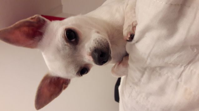 Si avvicina il fine settimana...