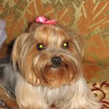 Olena