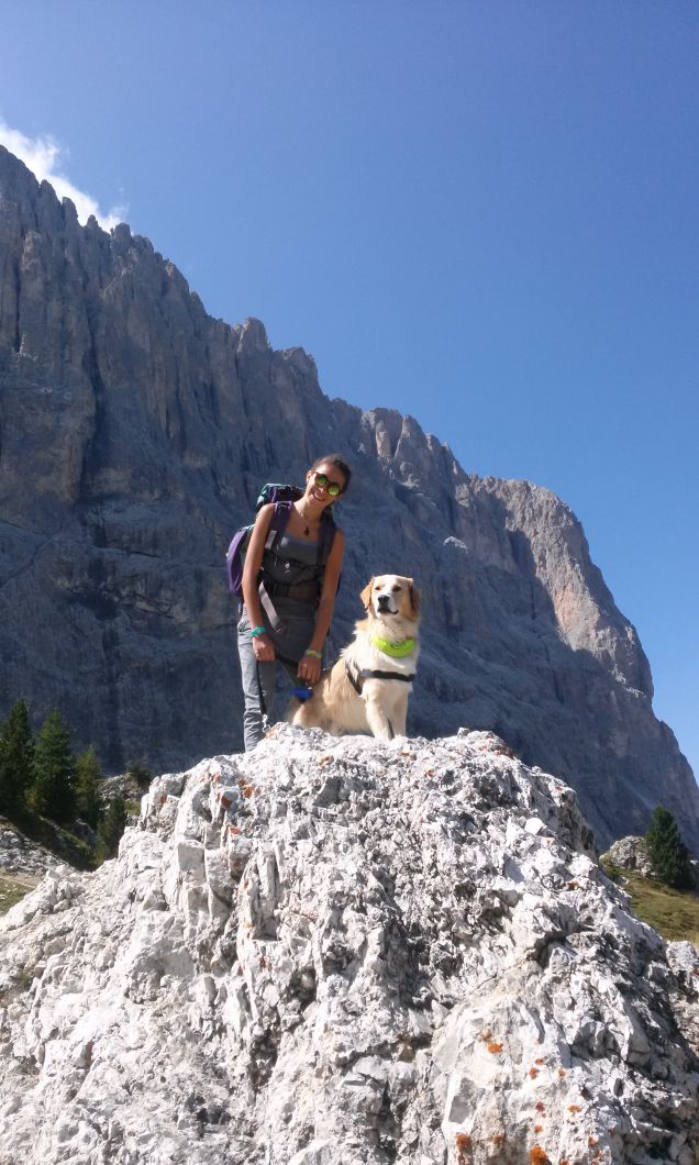 Escursioni a 6 zampe