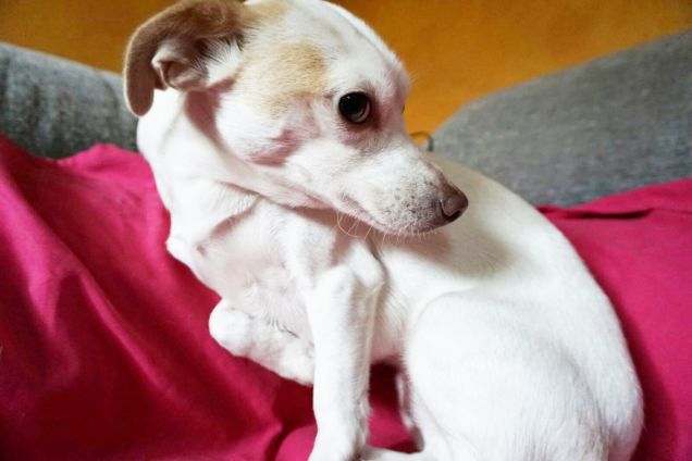 Che paura la macchina fotografica!!!