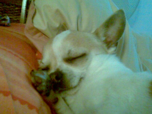 questa è tutta l'energia che ho!!