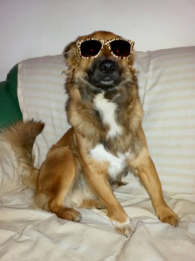 LEONE summer edition