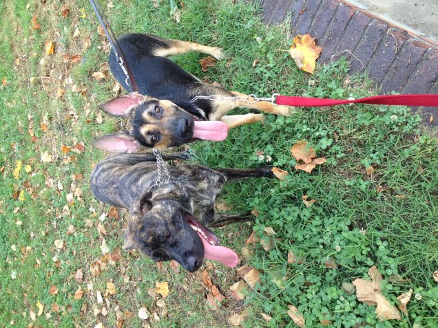 ci siam tuffati nella fontana!!!!