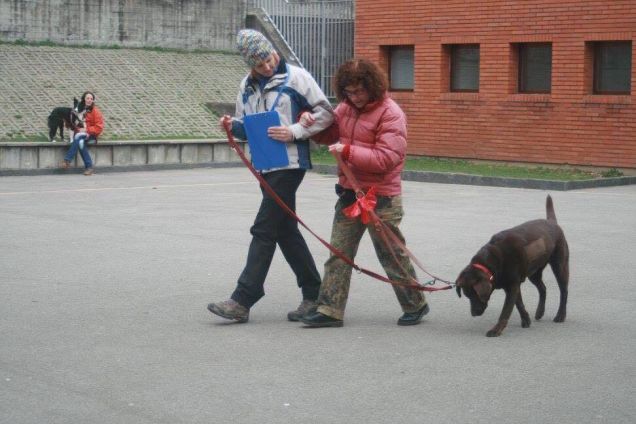 scuola di pet therapy