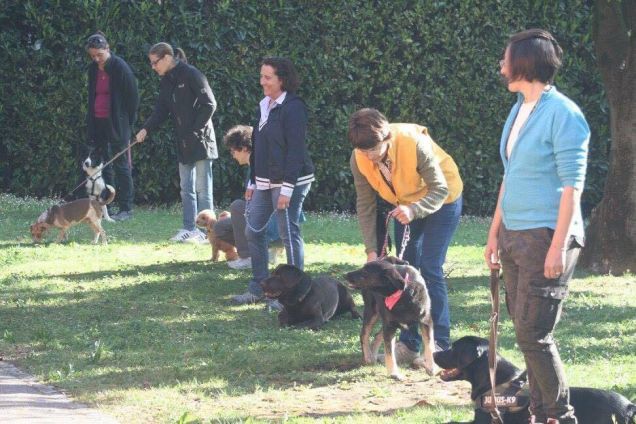 scuola di pet therapy