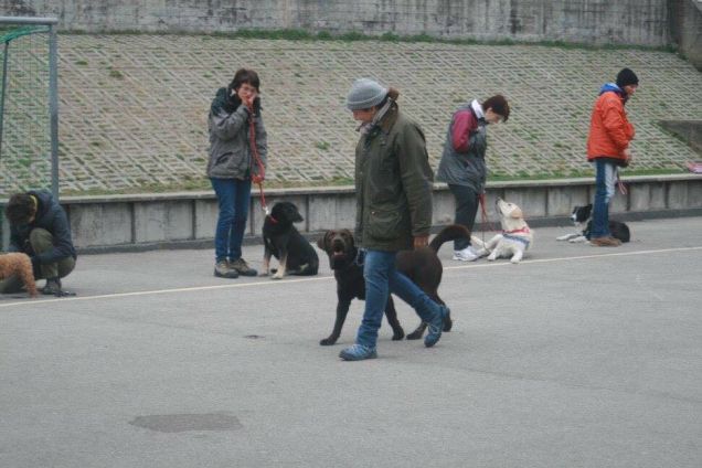 scuola di pet therapy