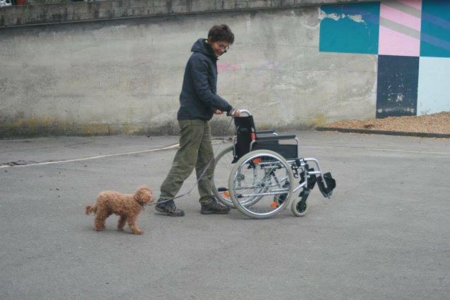 scuola di pet therapy