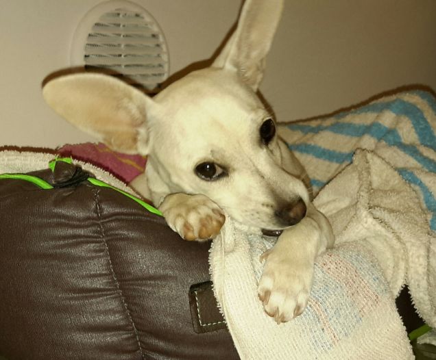 Giocando nella cucia 