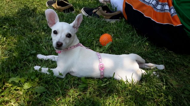 Dopo una lunga corsa