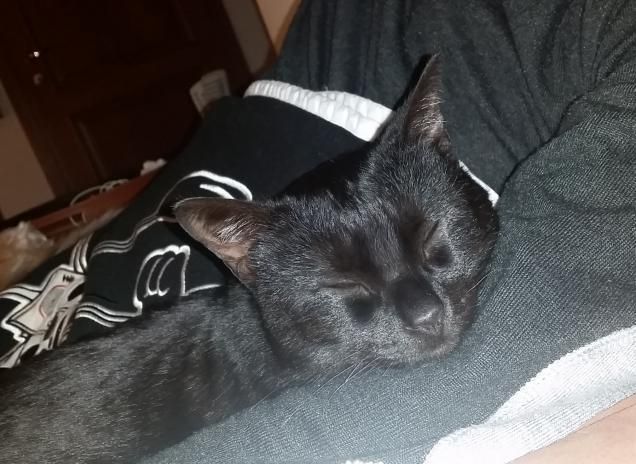 Si dorme proprio bene