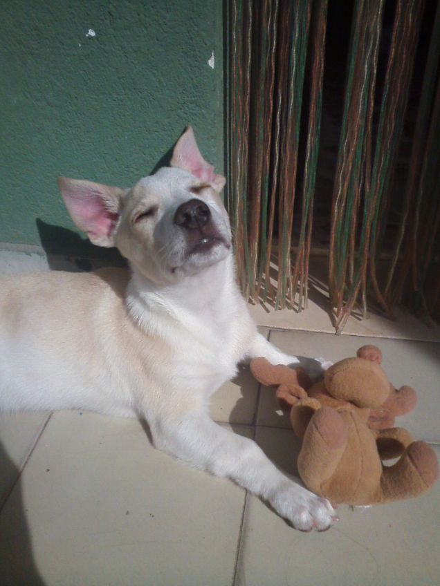 il sole è tutto mio