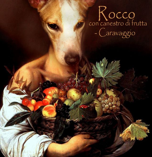 DogCaravaggio