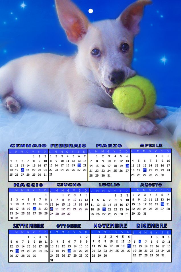 calendario