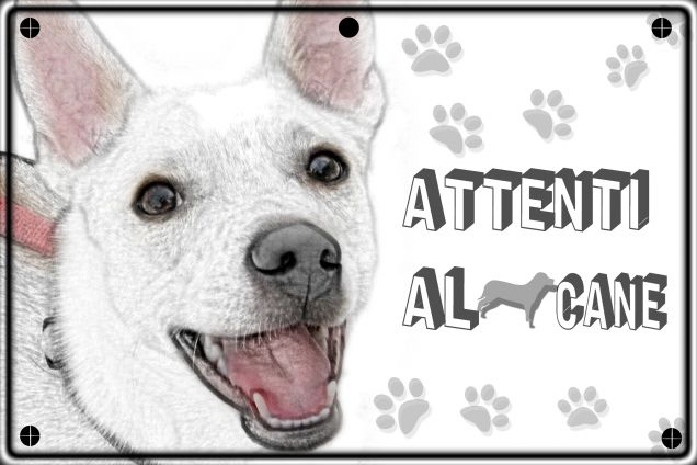 Targa attenti al cane con foto di Rocco